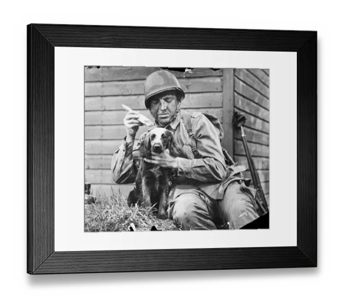 Framed Print : Picture shows an American paratrooper and his mascot dog Framed Print : Picture shows an American paratrooper and his mascot dog