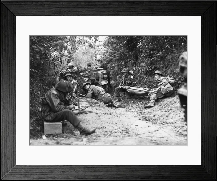 Framed Print : Allied troops push south of Caumont. Troops take over in a sunken lane with fox