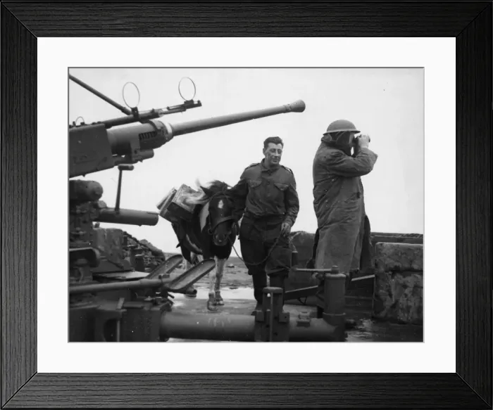 Framed Print : It is now possible to reveal the Interesting story behind the shooting down of a JU Framed Print : It is now possible to reveal the Interesting story behind the shooting down of a JU