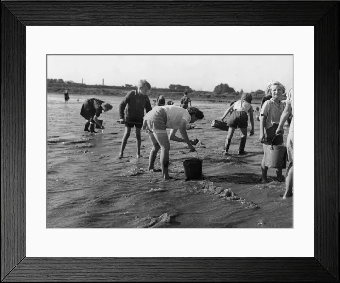 Framed Print : A German woman wears shorts for her work as they recover coal from the River Elbe Framed Print : A German woman wears shorts for her work as they recover coal from the River Elbe