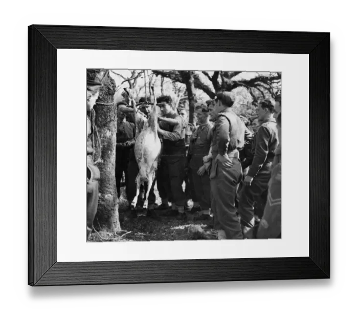 Framed Print : Details have just been released of the Armys commandos