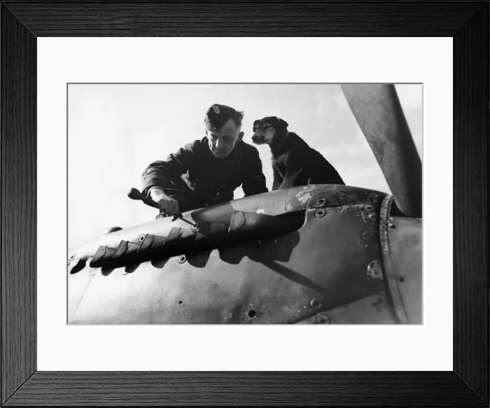 Framed Print : The Germans at St Malo have given up. The Citadel at the extreme point of the port was Framed Print : The Germans at St Malo have given up. The Citadel at the extreme point of the port was