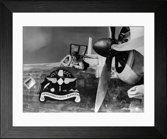 Framed Print : A Wellington bomber in the Middle East displaying an elaborate crest Framed Print : A Wellington bomber in the Middle East displaying an elaborate crest