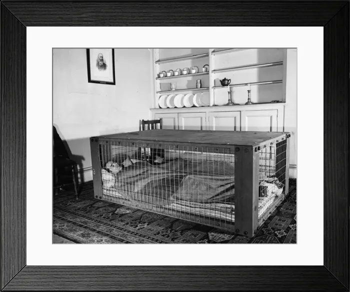 Framed Print : The new indoor Table shelter announced by the Minister of Home Security in the House of Framed Print : The new indoor Table shelter announced by the Minister of Home Security in the House of