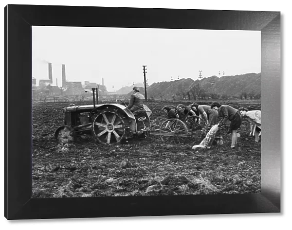 Wives of miners working in Grimethorpe colliery helping to cultivate reclaimed land