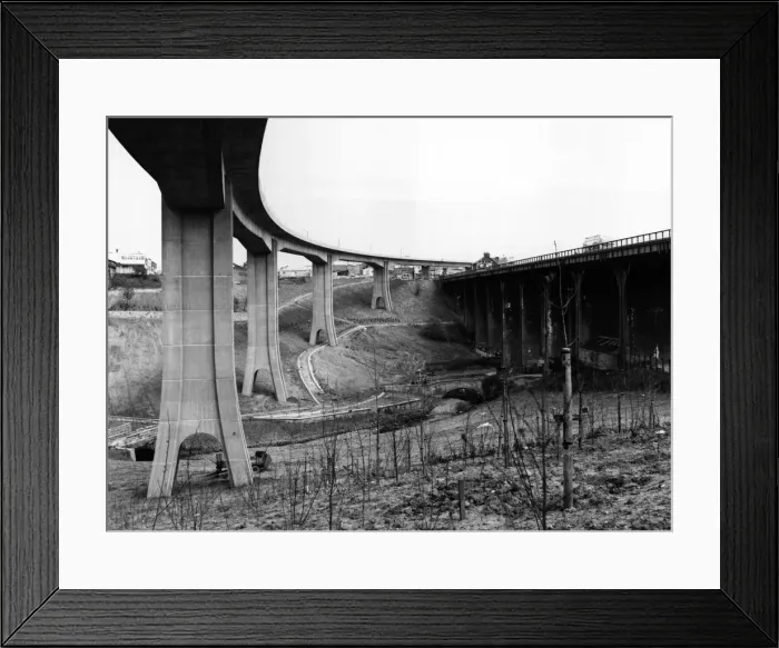 Framed Print : 01463503 Framed Print : 01463503
