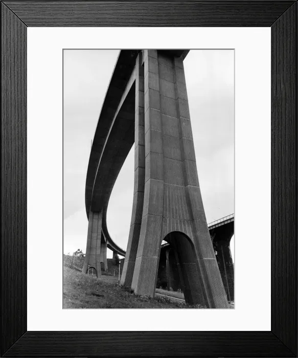 Framed Print : 01463493