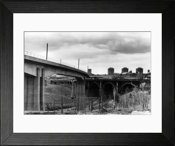 Framed Print : 01463499