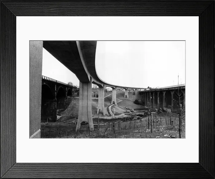 Framed Print : 01463492