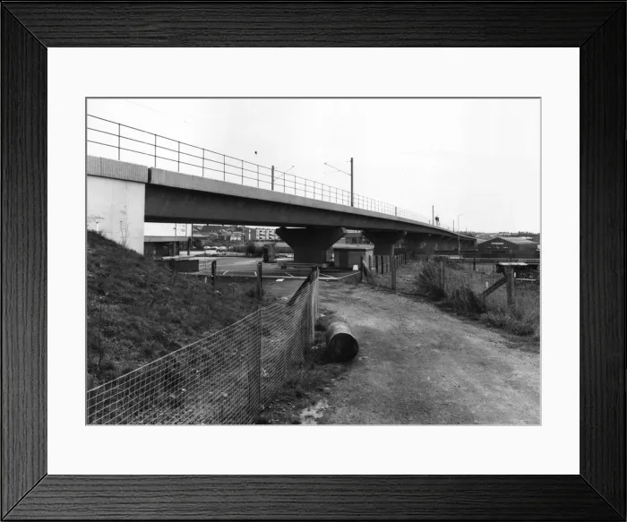 Framed Print : 01463507