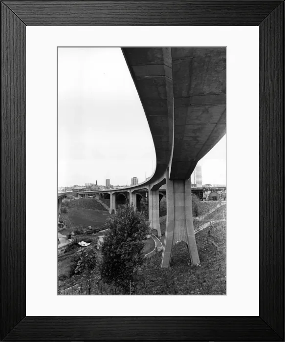 Framed Print : 01463498