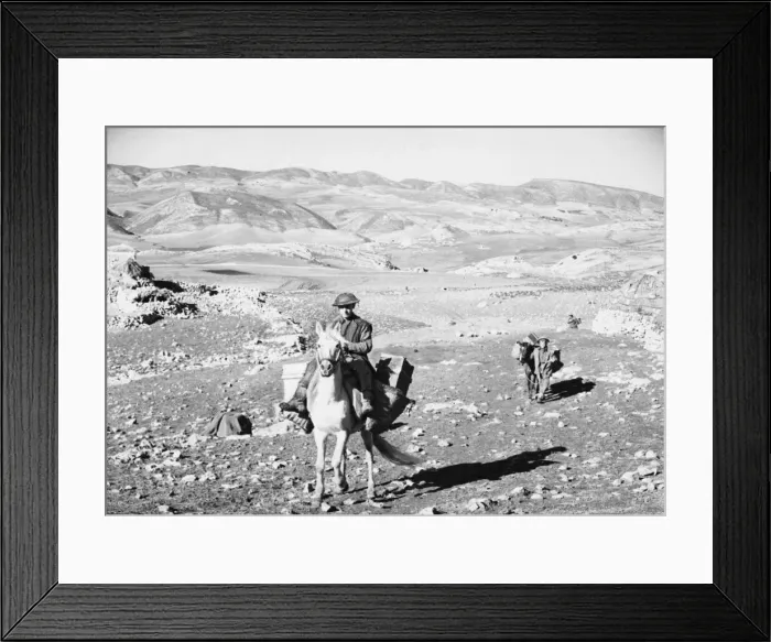 Framed Print : British pack mules in Africa during the Second World War. 17th January 1943