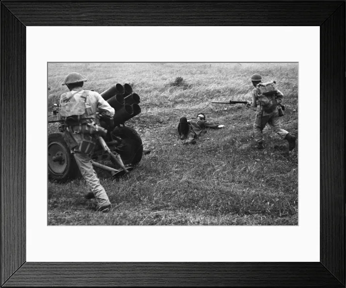 Framed Print : British and Allied Troops, Western Desert campaign, the Desert War Framed Print : British and Allied Troops, Western Desert campaign, the Desert War
