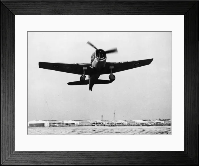 Framed Print : A Royal Navy Grumman Hellcat springs into the air at Roosevelt Field, Long Island Framed Print : A Royal Navy Grumman Hellcat springs into the air at Roosevelt Field, Long Island