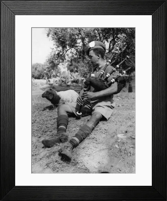 Framed Print : Preparations for the Allied invasion of Sicily, codenamed Operation Husky Framed Print : Preparations for the Allied invasion of Sicily, codenamed Operation Husky