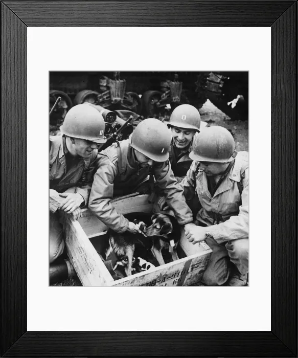 Framed Print : Queenie'of a Quartermaster unit awaiting the green light for the invasion of Framed Print : Queenie'of a Quartermaster unit awaiting the green light for the invasion of