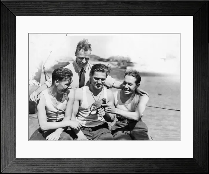 Framed Print : Captain of the HSL of the Air Sea Rescue Service, about to release a carrier pigeon Framed Print : Captain of the HSL of the Air Sea Rescue Service, about to release a carrier pigeon