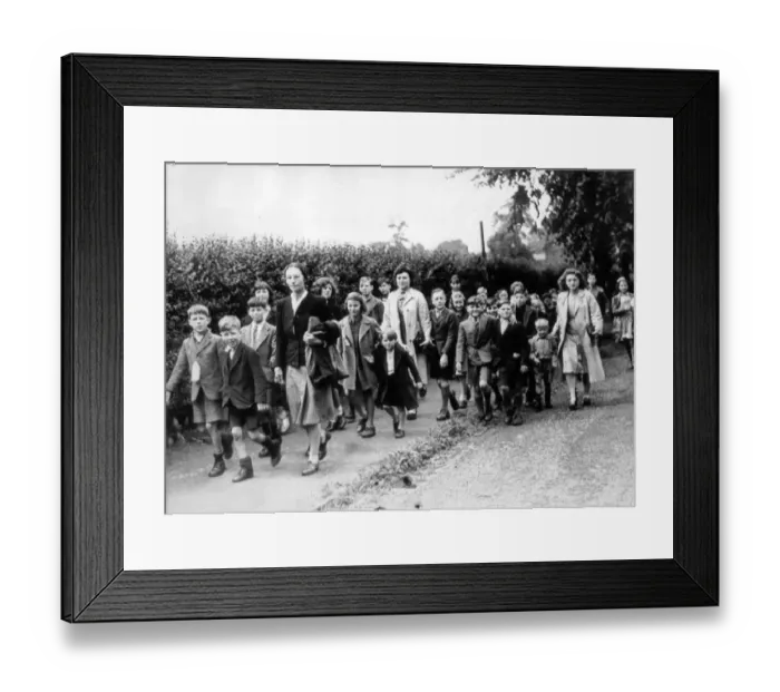 Framed Print : Coo they ve taken to country town life have these Bzz Bomb