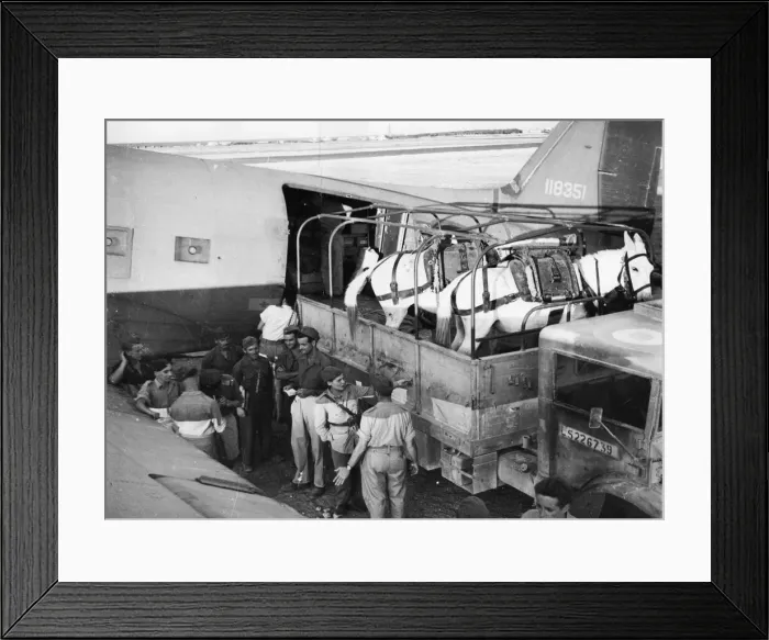 Framed Print : RAF aircraft of the Balkan Air Force are rendering close assistance to Marshal Tito Framed Print : RAF aircraft of the Balkan Air Force are rendering close assistance to Marshal Tito