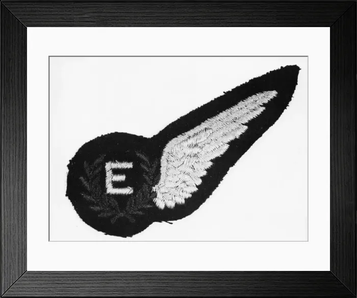 Framed Print : The half-wing badge, with an encircled E approved for wear by flight engineers Framed Print : The half-wing badge, with an encircled E approved for wear by flight engineers