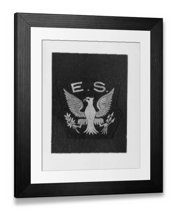Framed Print : WWII. ROYAL AIR FORCE. EAGLE SQUADRON SHOULDER PATCH. October 19th 1940 Framed Print : WWII. ROYAL AIR FORCE. EAGLE SQUADRON SHOULDER PATCH. October 19th 1940