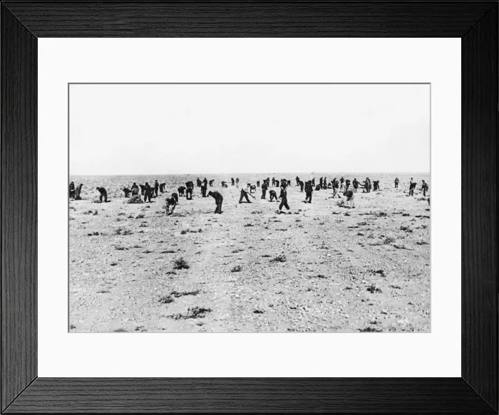 Framed Print : Two days work by British and Australian airmen turned the Tripolitanian desert into an Framed Print : Two days work by British and Australian airmen turned the Tripolitanian desert into an