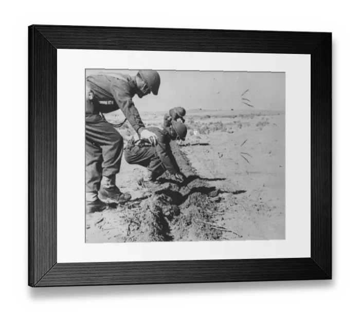 Framed Print : Men of the Royal Corps of Signals ploughing in telephone cables in a desert forward area Framed Print : Men of the Royal Corps of Signals ploughing in telephone cables in a desert forward area