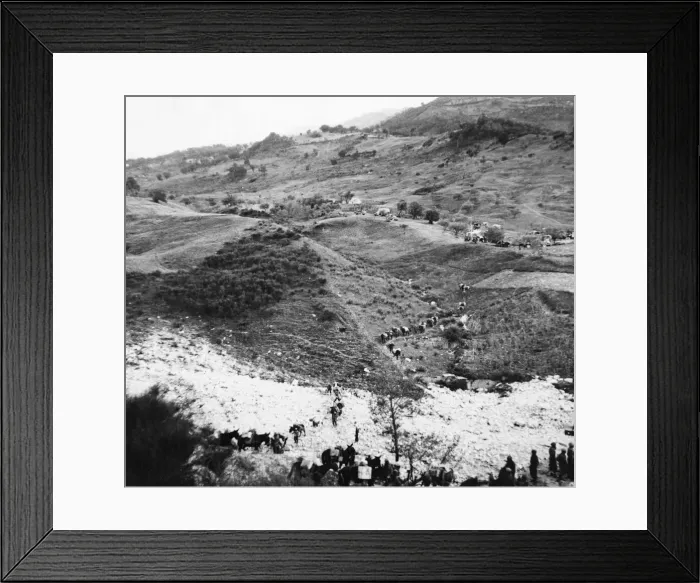 Framed Print : 8th Army mule train in Trigno. A Trigno landscape mule trains are a prominent Framed Print : 8th Army mule train in Trigno. A Trigno landscape mule trains are a prominent