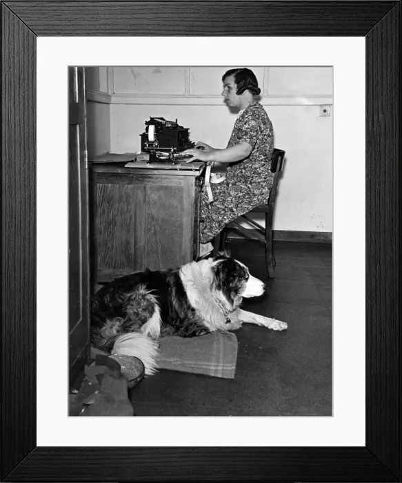 Framed Print : Miss Archer, blind typist, at work in the M. A. P. factory with her dog Sam who waits Framed Print : Miss Archer, blind typist, at work in the M. A. P. factory with her dog Sam who waits