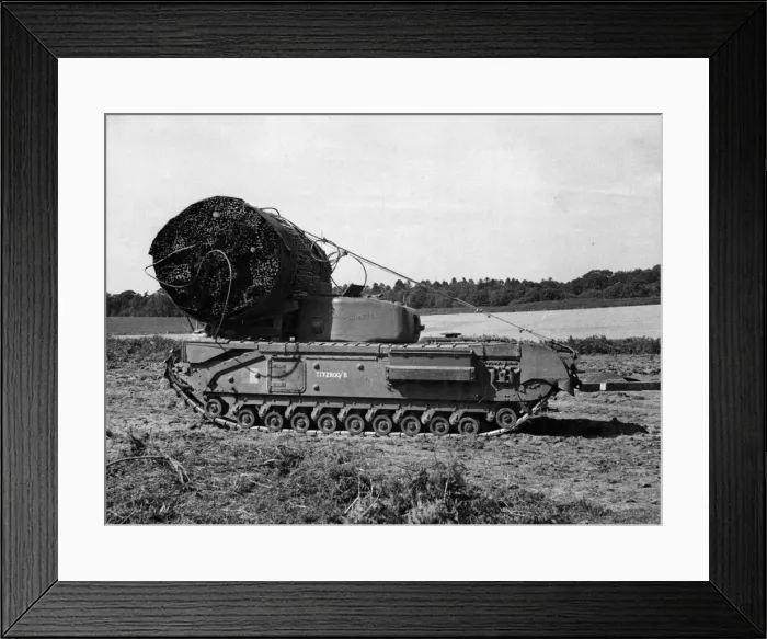 Framed Print : A British AVRE with fascine (a large roll of chestnut palings) in position Framed Print : A British AVRE with fascine (a large roll of chestnut palings) in position
