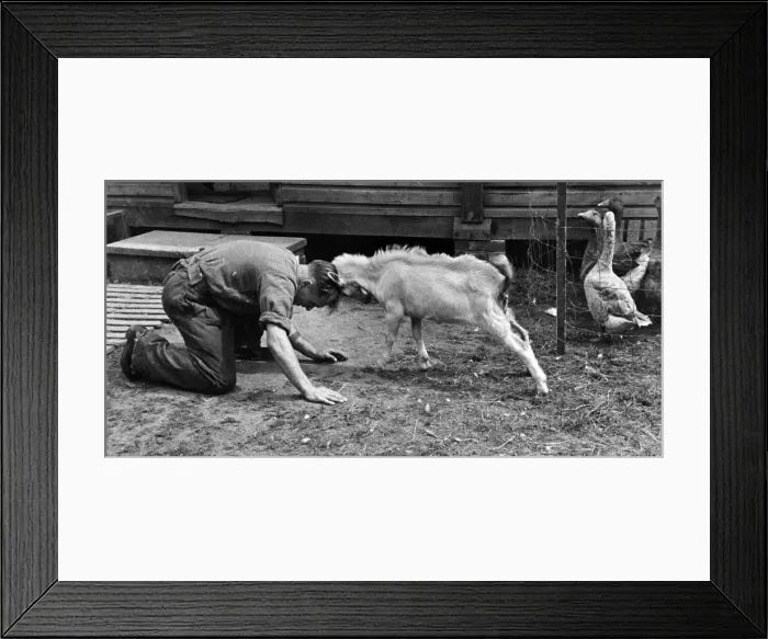 Framed Print : Canadians stationed at a lonely farmhouse have named the N. A. A. F