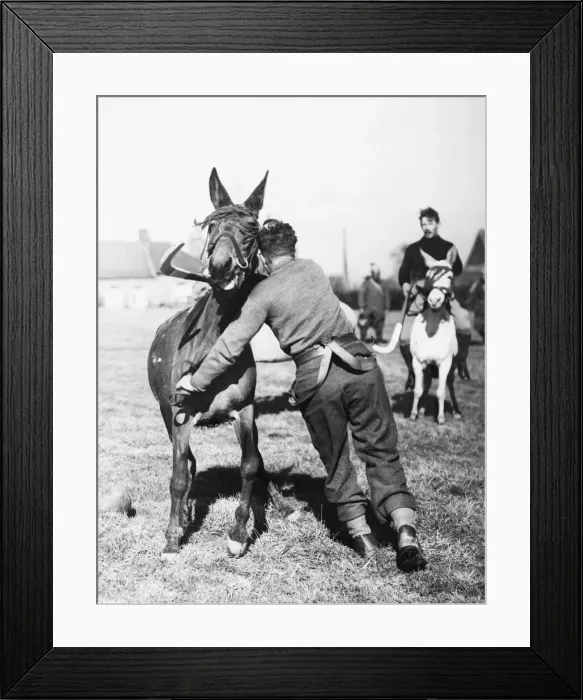 Framed Print : The Welch Fusiliers with the B. E. F. play polo with mules and ponies Framed Print : The Welch Fusiliers with the B. E. F. play polo with mules and ponies