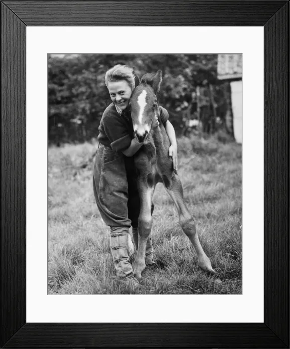 Framed Print : A holidaymaker on a Bedfordshire farm during the Second World War Framed Print : A holidaymaker on a Bedfordshire farm during the Second World War