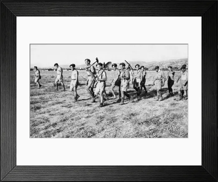 Framed Print : As the 5th and Allied armies press forward in Italy following the successful landings in Framed Print : As the 5th and Allied armies press forward in Italy following the successful landings in