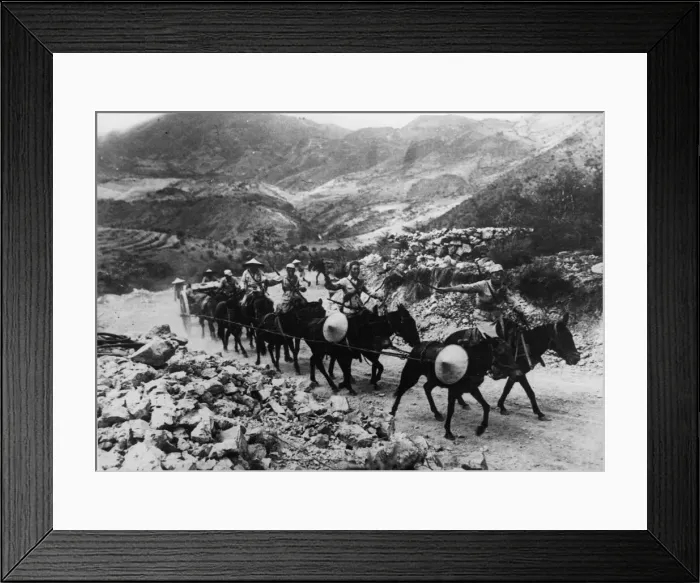 Framed Print : A Chinese mule team hauls a Chinese Howitzer over the mountainous terrain of the Burma Framed Print : A Chinese mule team hauls a Chinese Howitzer over the mountainous terrain of the Burma