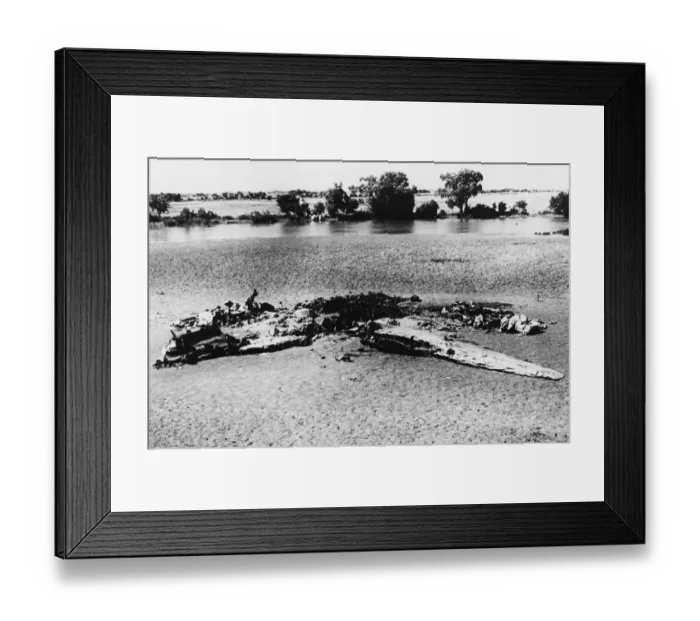 Framed Print : R. A. F. Pilot makes night-fighting record over Calcutta. Three Japanese down in four Framed Print : R. A. F. Pilot makes night-fighting record over Calcutta. Three Japanese down in four