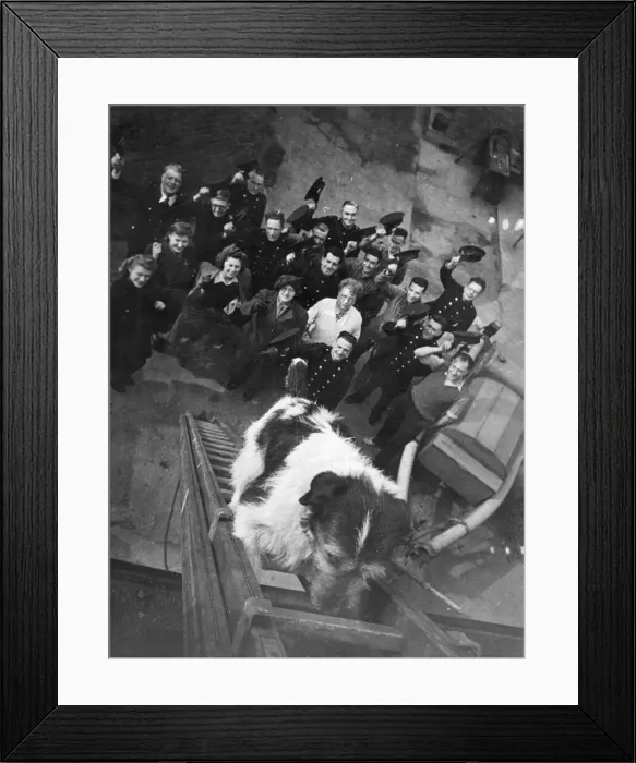 Framed Print : Mick the dog, is the Fireman Mascot at Romford Road, East Ham Framed Print : Mick the dog, is the Fireman Mascot at Romford Road, East Ham