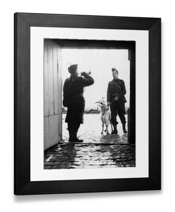 Framed Print : The Royal Welch Fusiliers celebrated St. Davids Day in the forward areas of the B. E