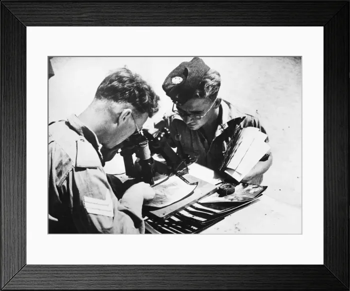 Framed Print : An R. A. F. Intelligence Officer scrutinises aerial photographs in the Western Desert Framed Print : An R. A. F. Intelligence Officer scrutinises aerial photographs in the Western Desert