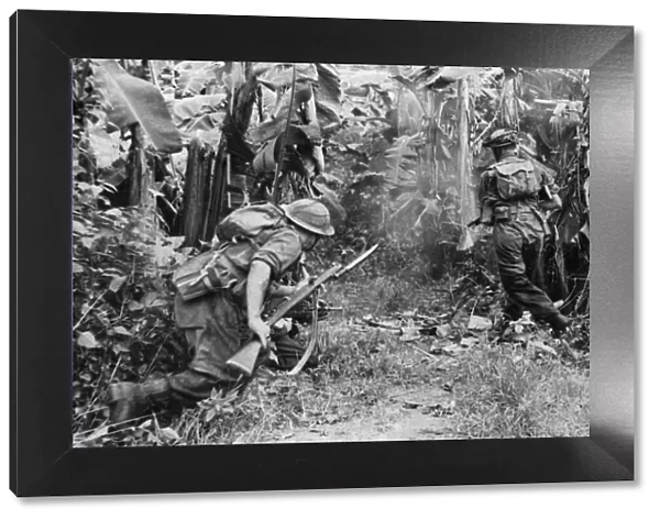 A British Army jungle patrol attacks a native 'Basha', a bamboo hut