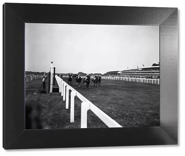 Royal Ascot 1955, finish of the 3. 5 2nd Race, The New Two Year Old Stakes (5 furlongs)