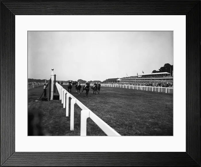 Framed Print : Royal Ascot 1955, finish of the 3. 5 2nd Race, The New Two Year Old Stakes (5 furlongs)
