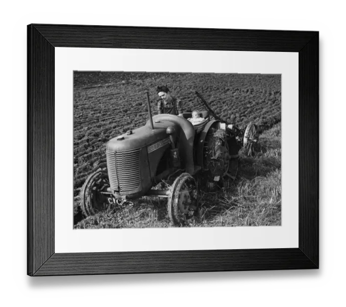 Framed Print : Mother is so busy on the farm that six-month-old baby Betty goes ploughing too Framed Print : Mother is so busy on the farm that six-month-old baby Betty goes ploughing too