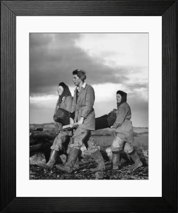 Framed Print : Using timber which is of no use for war production, a game of Land Army girls at Bywell Framed Print : Using timber which is of no use for war production, a game of Land Army girls at Bywell