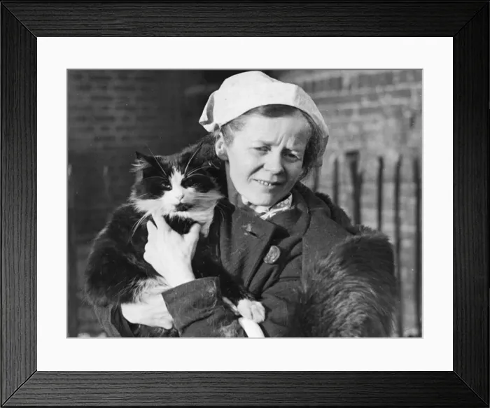Framed Print : Bobby, a cat, is eyes and ears to his mistress Miss Walker, of Chandos Road, London Framed Print : Bobby, a cat, is eyes and ears to his mistress Miss Walker, of Chandos Road, London