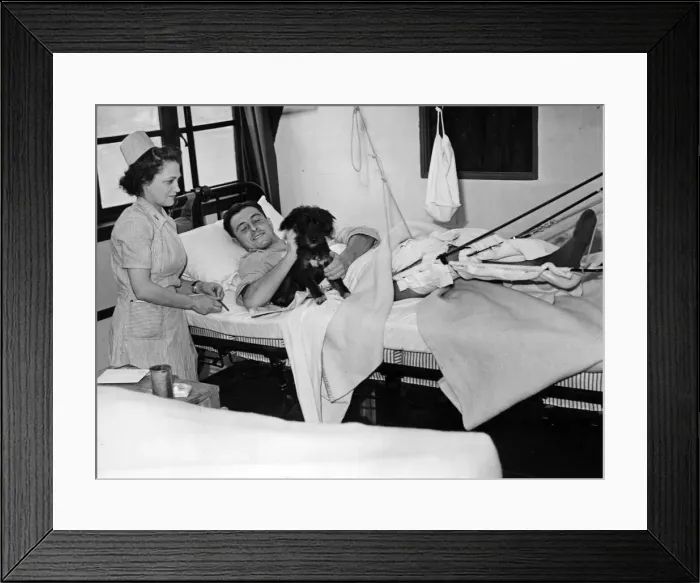 Framed Print : Marcel Folie, who comes from Paris, joined the fighting French in North Africa Framed Print : Marcel Folie, who comes from Paris, joined the fighting French in North Africa