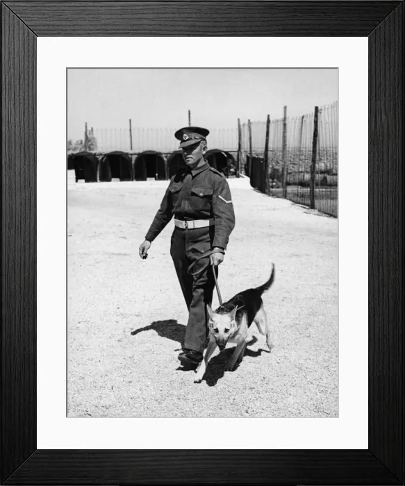 Framed Print : Military Policeman Lance Corporal H. Wallis of 68 King Alfred Street Framed Print : Military Policeman Lance Corporal H. Wallis of 68 King Alfred Street