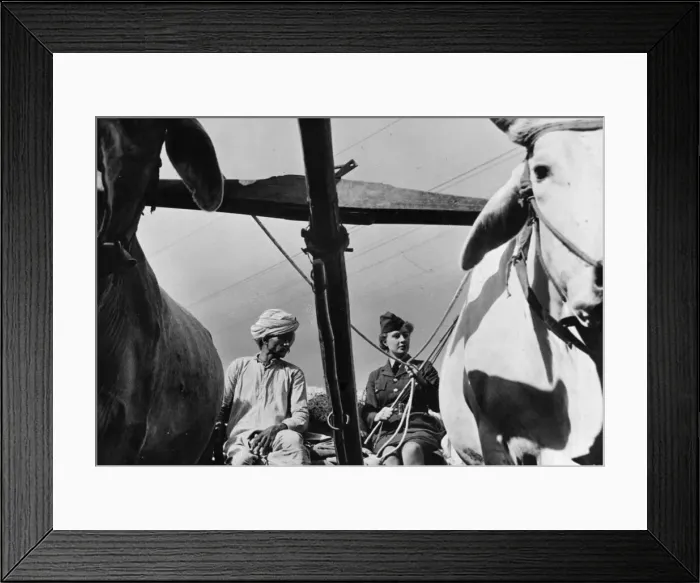 Framed Print : Over a thousand members of the Womens Auxiliary Air Force (WaF Framed Print : Over a thousand members of the Womens Auxiliary Air Force (WaF