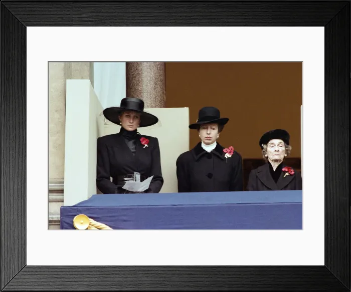 Framed Print : Remembrance Day parade at Whitehall, London. Diana, Princess of Wales, Princess Anne Framed Print : Remembrance Day parade at Whitehall, London. Diana, Princess of Wales, Princess Anne