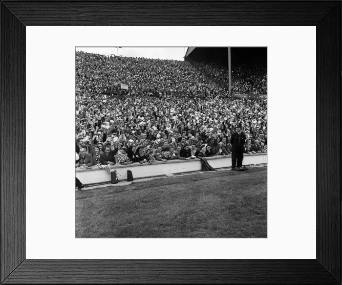 Framed Print : FA Cup Final at Wembley Stadium. Tottenham Hotspur 2 v Leicester City 0. Crowd scenes Framed Print : FA Cup Final at Wembley Stadium. Tottenham Hotspur 2 v Leicester City 0. Crowd scenes